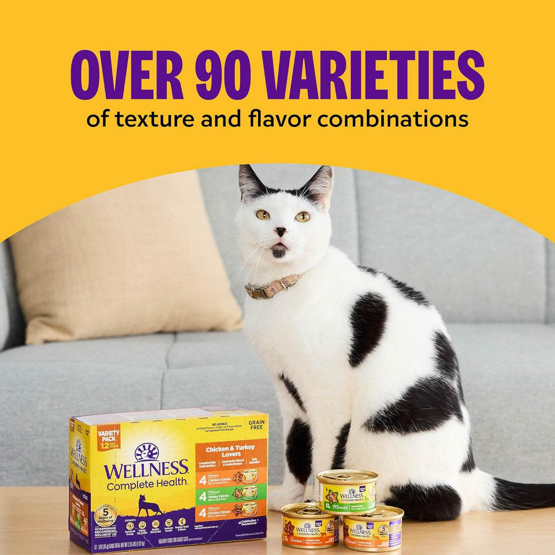Health Pate Adult Wet Cat Food, Natural, Protein-Rich, Grain Free, 3 Ounce, 24 Pack,(Beef & Salmon)