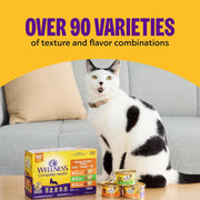 Health Pate Adult Wet Cat Food, Natural, Protein-Rich, Grain Free, 3 Ounce, 24 Pack,(Beef & Salmon)