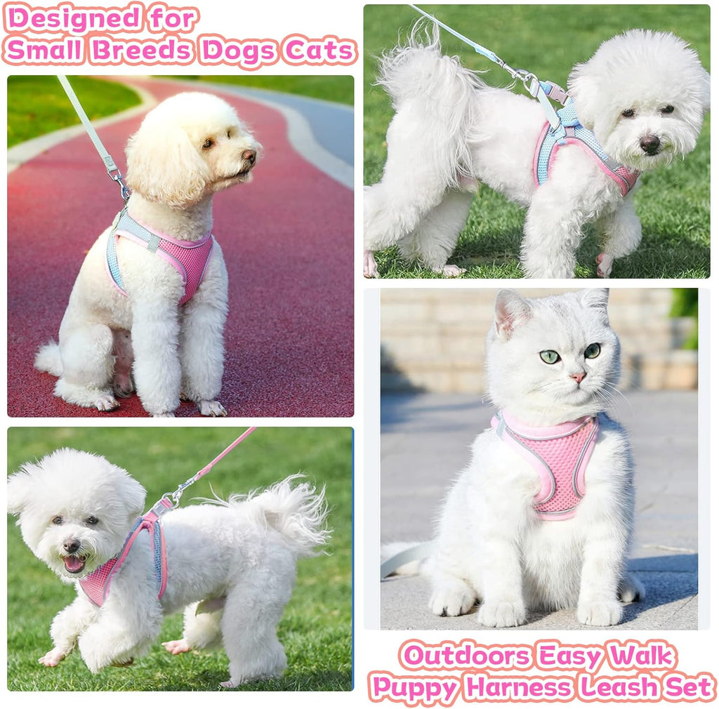 Soft Small Dog Harness and Leash Set Mesh Puppy Harnesses Leash Easy Walk Dog Harness Vest Adjustable Reflective No Pull Dog Harnesses for Small Dogs Cats
