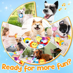 Irresistible Weather-Themed 20-Pack Squeaky Dog Toys Set for Small Dogs & Puppies, Included 16 Plush Toys with Vibrant Characters to Keep Them Busy & 4 Dog Bags