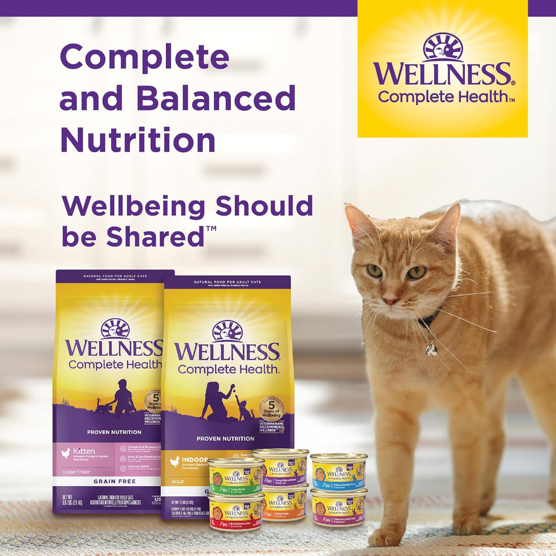 Complete Health Pate Adult Wet Cat Food, Natural, Protein-Rich, Grain Free, 3 Ounce, 24 Pack, (Beef & Chicken)