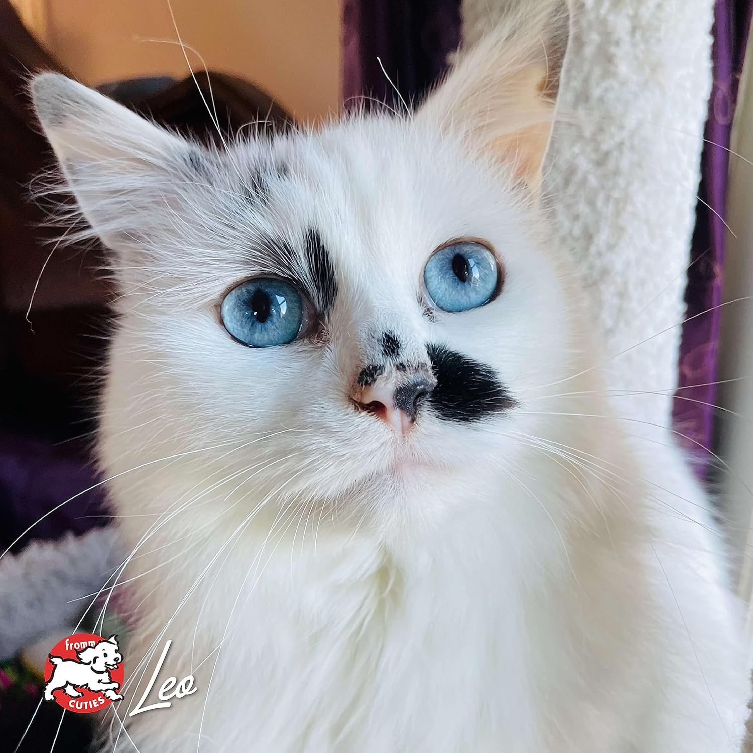 Nutritionals Duck A La Veg Cat Food - Premium Dry Cat Food - Duck Recipe - 4 lb