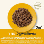 Complete Dry Kitten Food, Grain-Free, Limited and Natural Ingredients, Added Vitamins & Minerals, High Protein, Supports Digestion, Chicken Recipe (4 Pound Bag)