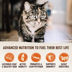 CORE RawRev Original Deboned Turkey, Meal & Chicken Meal Recipe, Dry Cat Food, 10 Pound Bag