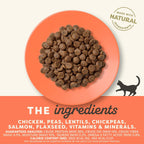 Complete Dry Cat Food, Grain-Free, Limited Ingredient with Added Vitamins & Minerals, Protein, Supports Digestion, Chicken & Turkey (4 Pound Bag)