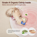 Beer-Simulation Cat Toys 2Pcs Catnip Crinkly Sound Toy, Durable Kitten Bite Kicker Toys, Indoor Feline Exercise 4.0 Inches for All Breeds