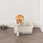 Large Open Top Cat Litter Box, Kitty Litter Pan, Pearl