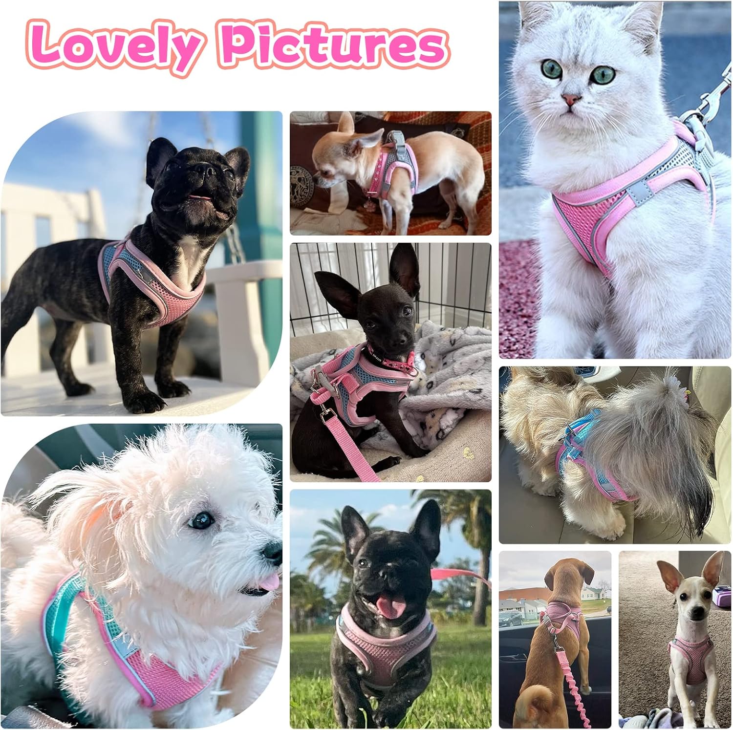 Soft Small Dog Harness and Leash Set Mesh Puppy Harnesses Leash Easy Walk Dog Harness Vest Adjustable Reflective No Pull Dog Harnesses for Small Dogs Cats