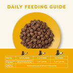 Complete Dry Kitten Food, Grain-Free, Limited and Natural Ingredients, Added Vitamins & Minerals, High Protein, Supports Digestion, Chicken Recipe (4 Pound Bag)