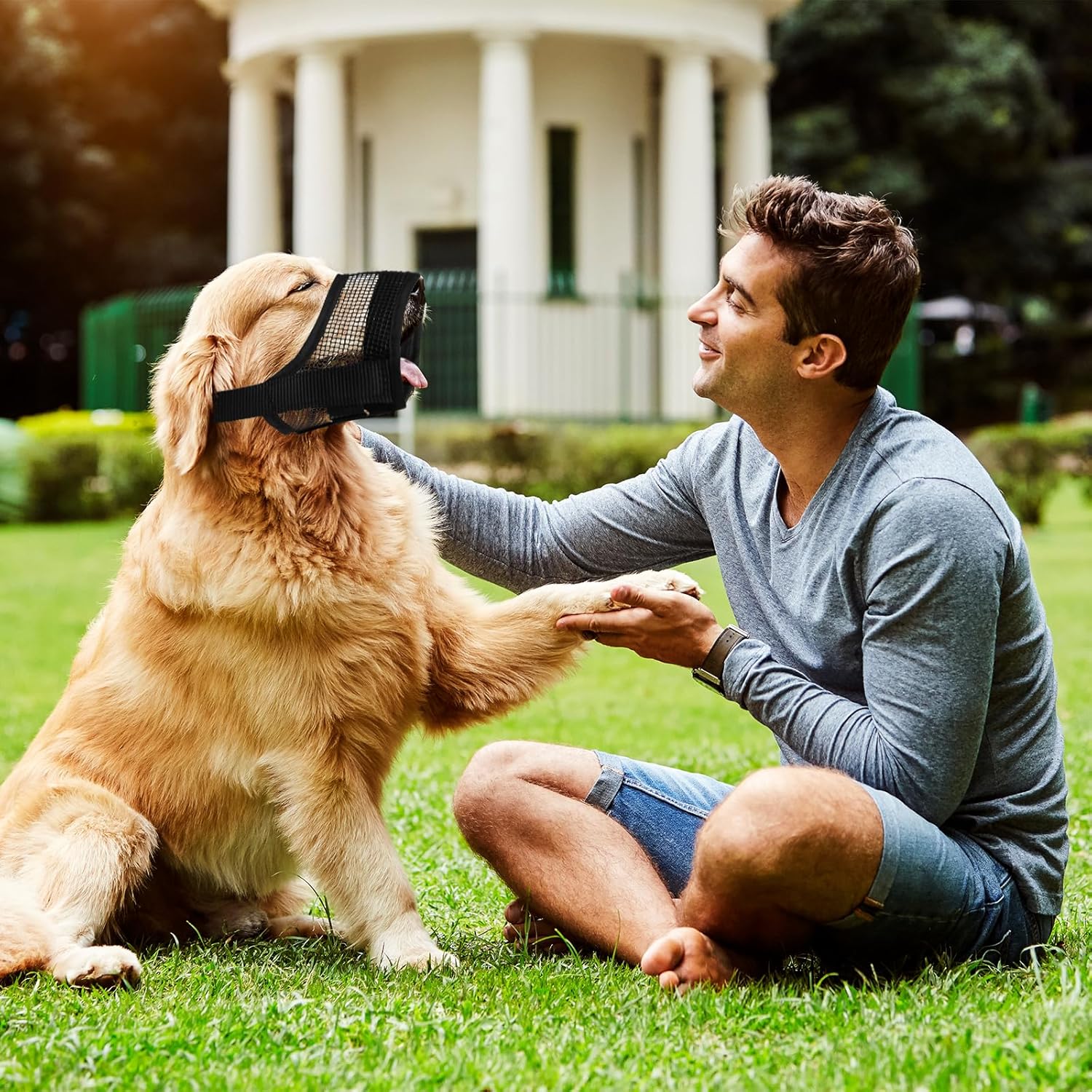 Dog Muzzle, Breathable Adjustable Soft Mesh Muzzle for Small Medium Large Dog Mouth Guard, to Prevent Biting, No Bark for Dogs Allow Panting Drinking