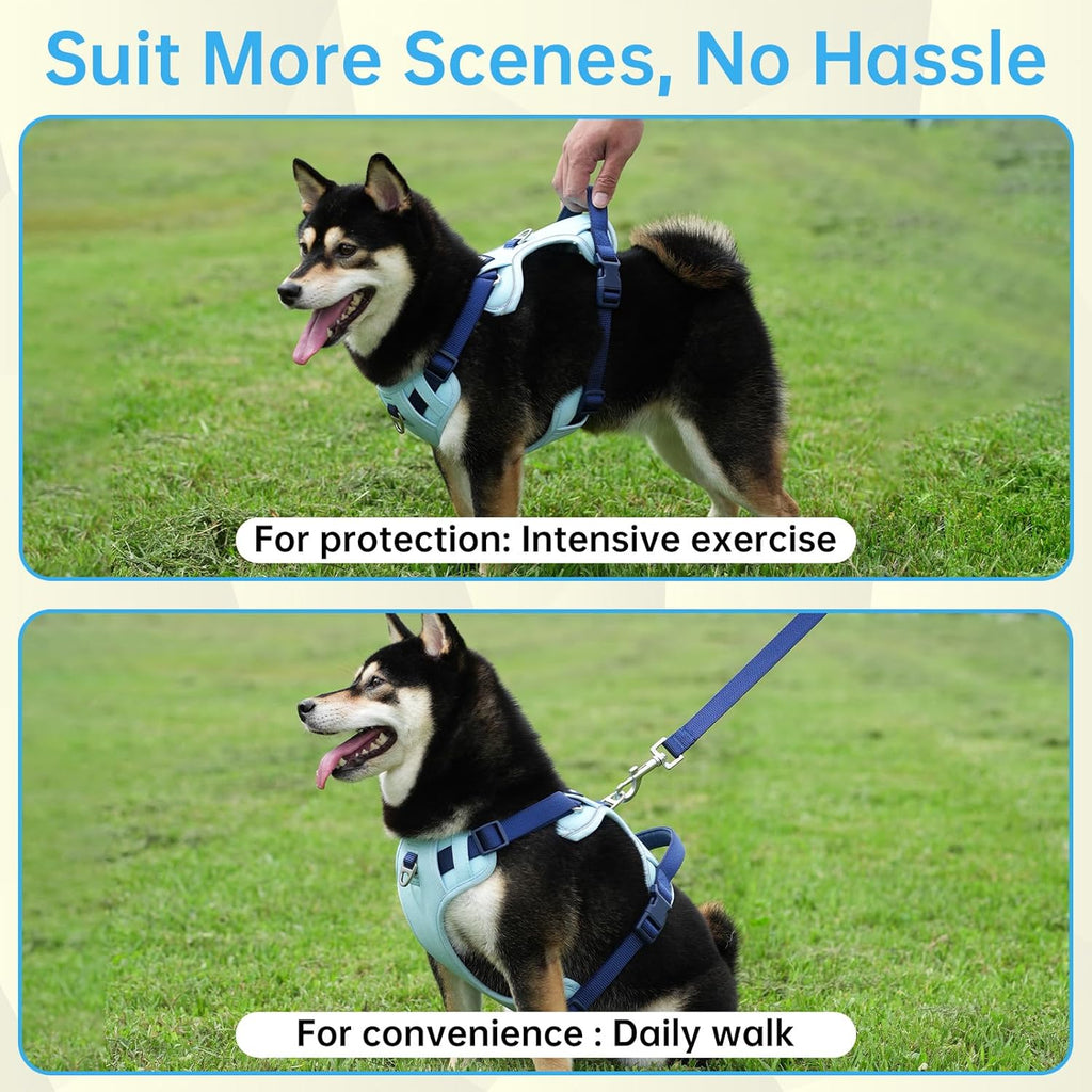 Dog Harness Leash and Collar Set, Soft Adjustable Dogs Vest Reflective and Comfortable Handle Blue Small