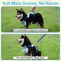 Reflective Dog Harness, Leash & Collar Set (Blue)