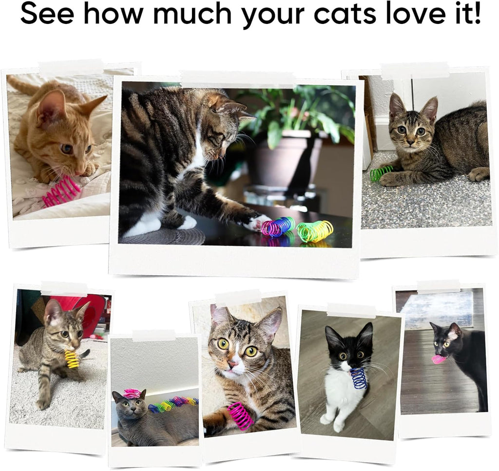 6Colors Plastic Spring Cat Toys, 60 Pack Spiral Springs for Indoor Cats to Swat, Bite, Hunt, Interactive Toys for Cats and Kittens