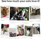 6Colors Plastic Spring Cat Toys, 60 Pack Spiral Springs for Indoor Cats to Swat, Bite, Hunt, Interactive Toys for Cats and Kittens
