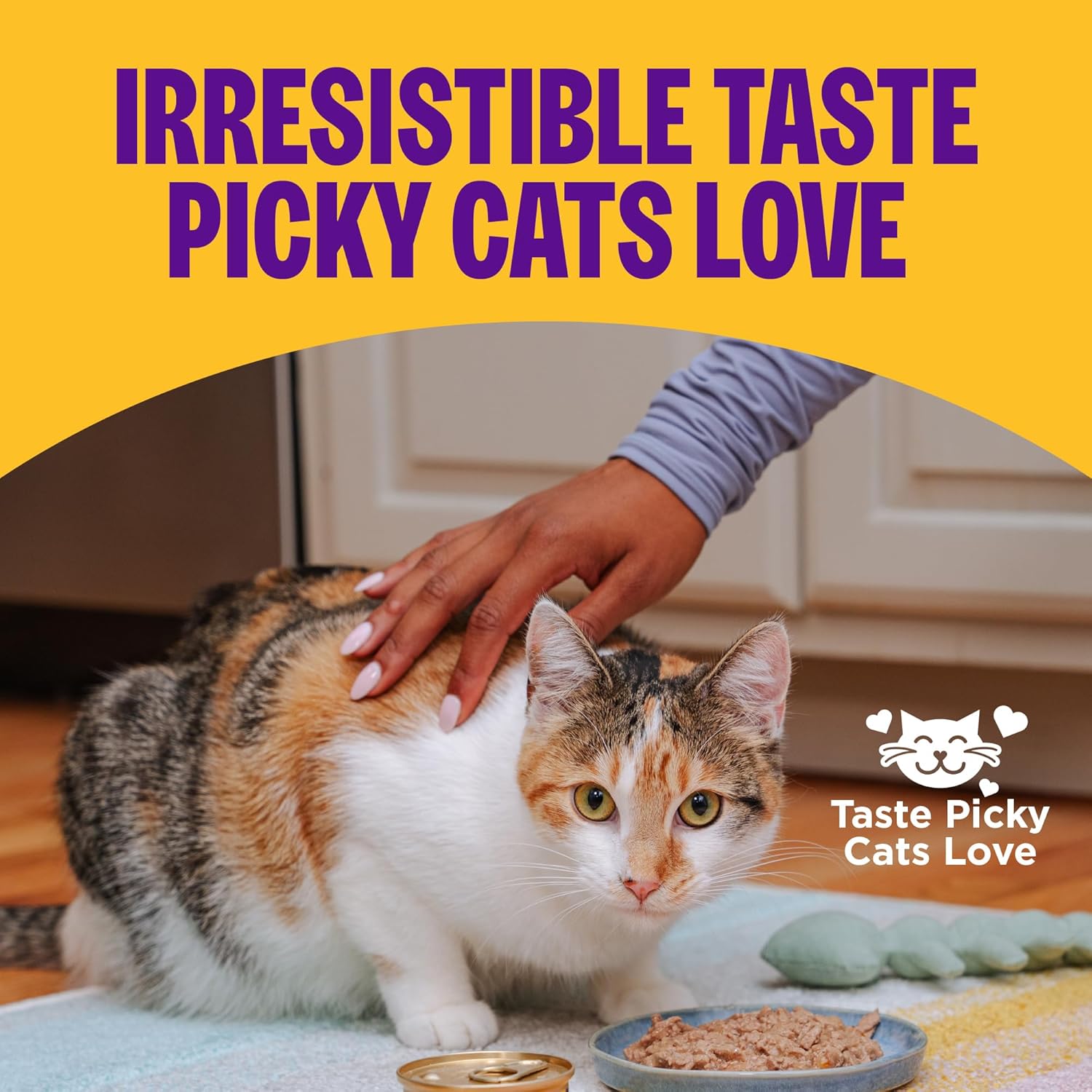 Health Pate Adult Wet Cat Food, Natural, Protein-Rich, Grain Free, 3 Ounce, 24 Pack,  (Turkey)