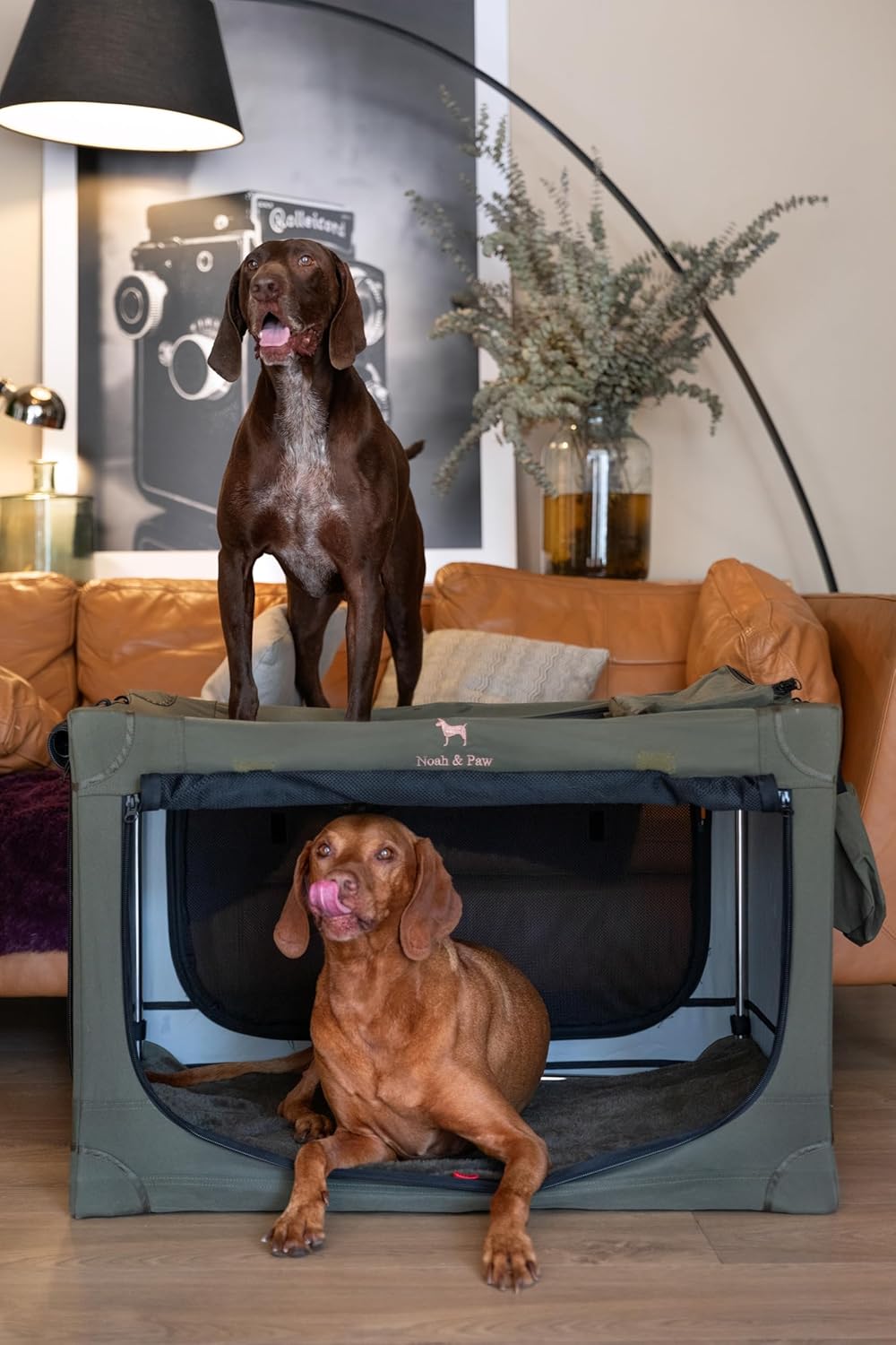 Collapsible Dog Crate 36 Inches, XL Dog Crate for XL, Large Medium Breed, Travel Kennel for Car, Includes Pet Mat for Pet Cage, 2 Storage Pockets, Handbag, 10mm Locking Zippers