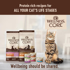 Signature Selects Shredded Adult Wet Cat Food, Natural, Protein-Rich, Grain Free, 2.8 Ounce, 8 Pack (Poultry Variety Pack)