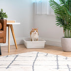 Large Open Top Cat Litter Box, Kitty Litter Pan, Pearl