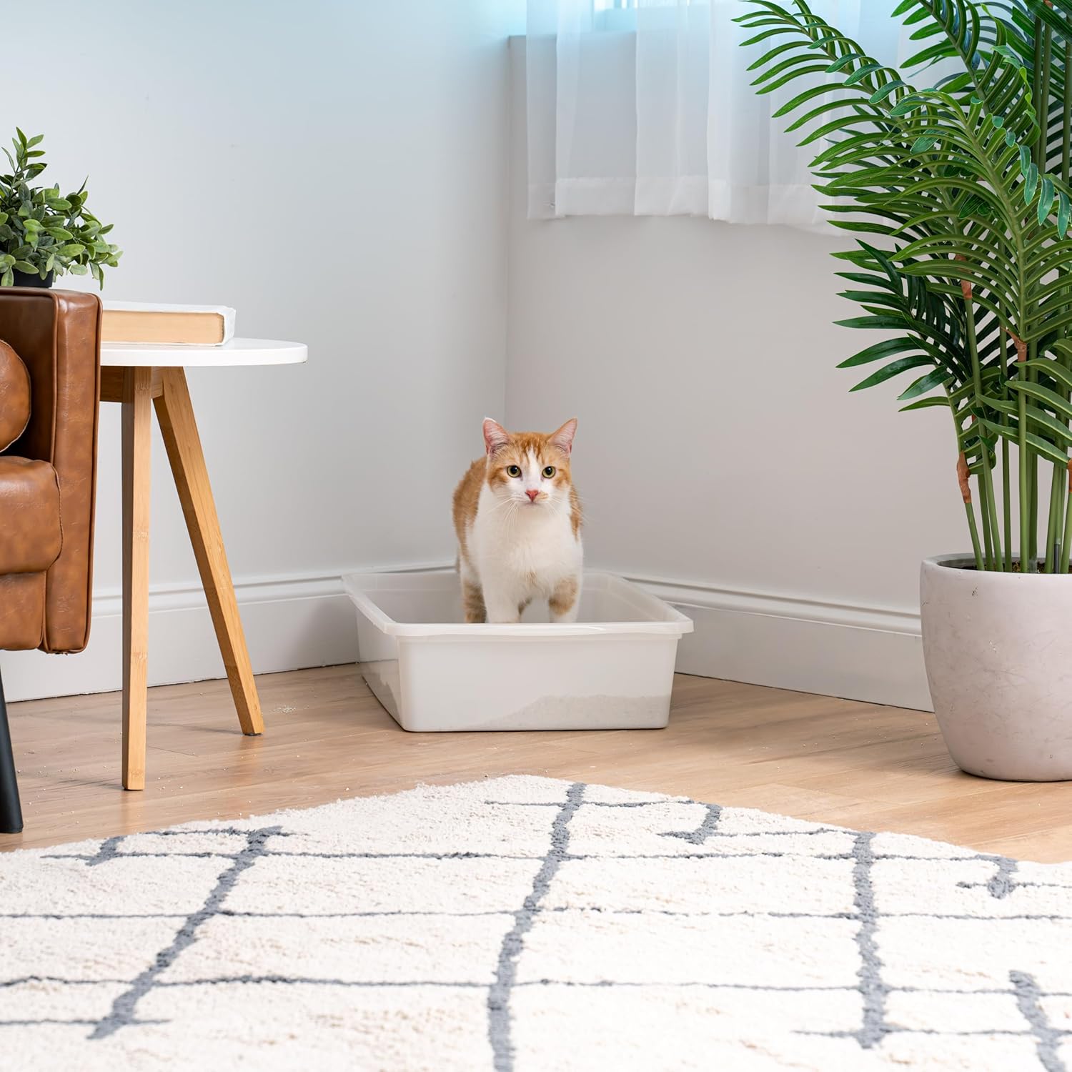 Large Open Top Cat Litter Box, Kitty Litter Pan, Pearl