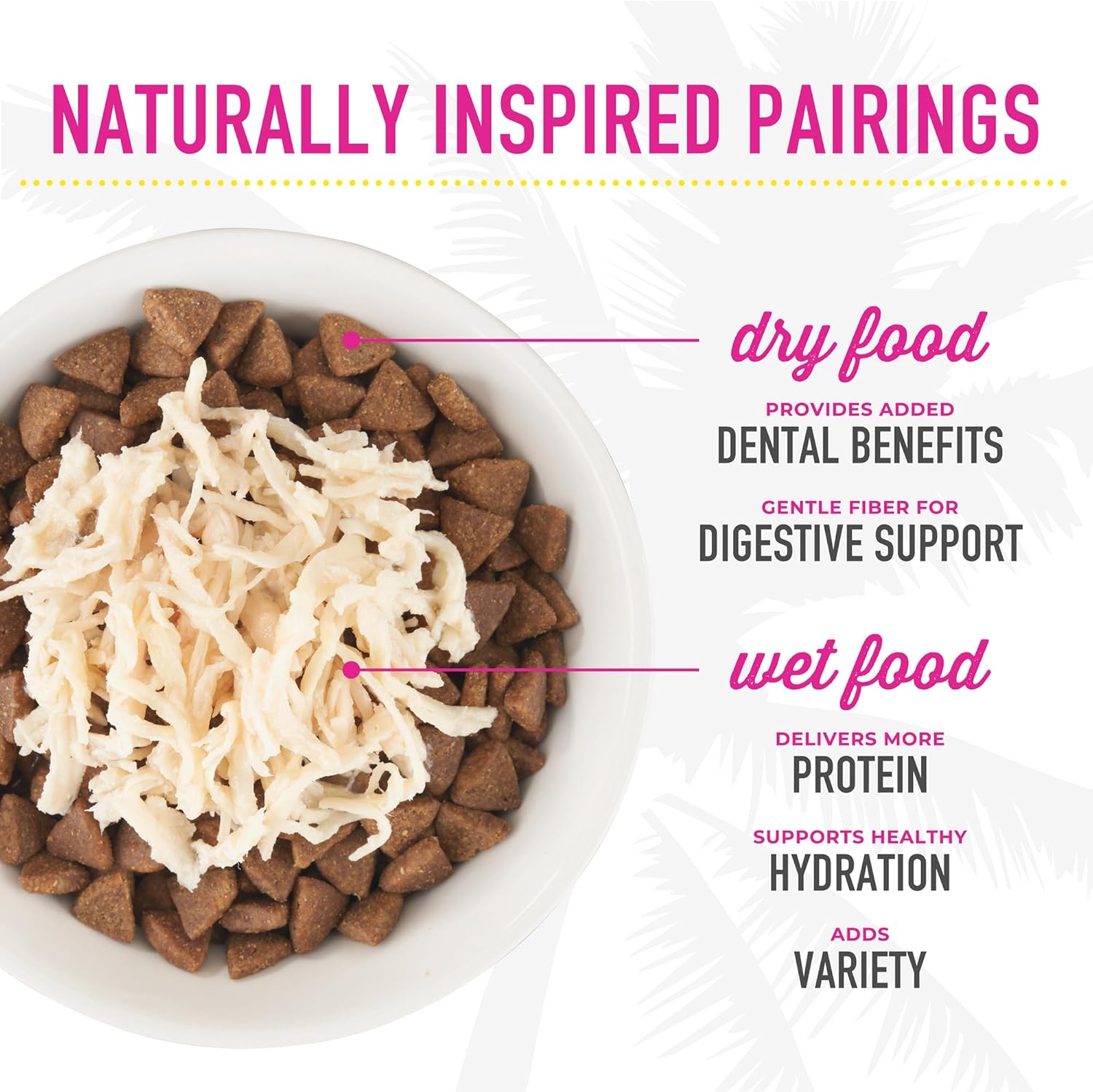 Cat After Dark, Chicken, High-Protein and 100% Non-GMO Ingredients, Wet Cat Food for Adult Cats, 2.8 oz. Can (12 Count)