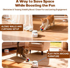 Interactive Cat Toy for Indoor Cats – Automatic Moving & Enrichment Toy for Indoor Cats/Kitten, Auto/Manual Control Cat Treadmill for Exercise & Mental Stimulation, Stimulating Chase Toys