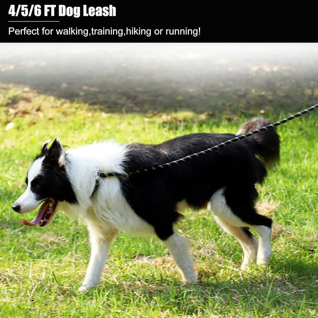 2 Pack Dog Leash, 4/5//6 FT Heavy Duty Nylon Rope Pet Leashes with Comfortable Padded Handle, Reflective Dog Leashes for Small Medium and Large Dogs