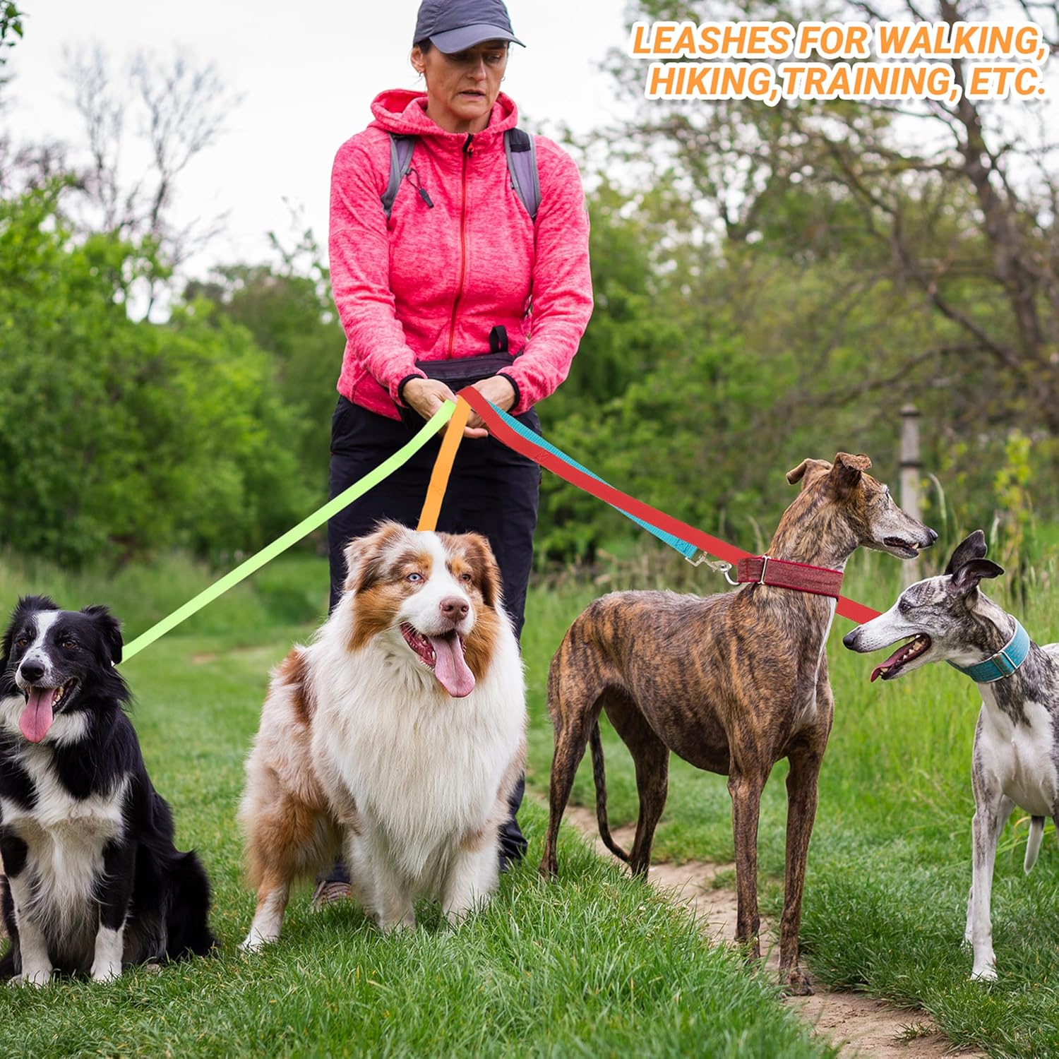 12 Pcs Dog Leashes for Small Medium Large Dogs, 6FT Lead Short Dog Leash with Swivel Hook for Walking, Training, Hiking, Rescues, Grooming, Shelter, Outdoor