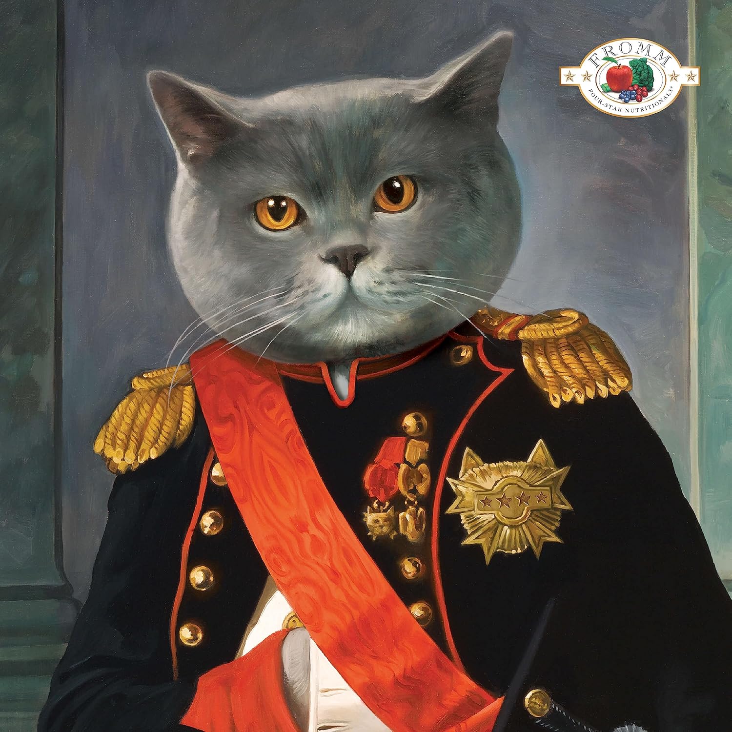 Nutritionals Chicken Au Frommage Cat Food - Premium Dry Cat Food - Chicken Recipe - 4 lb