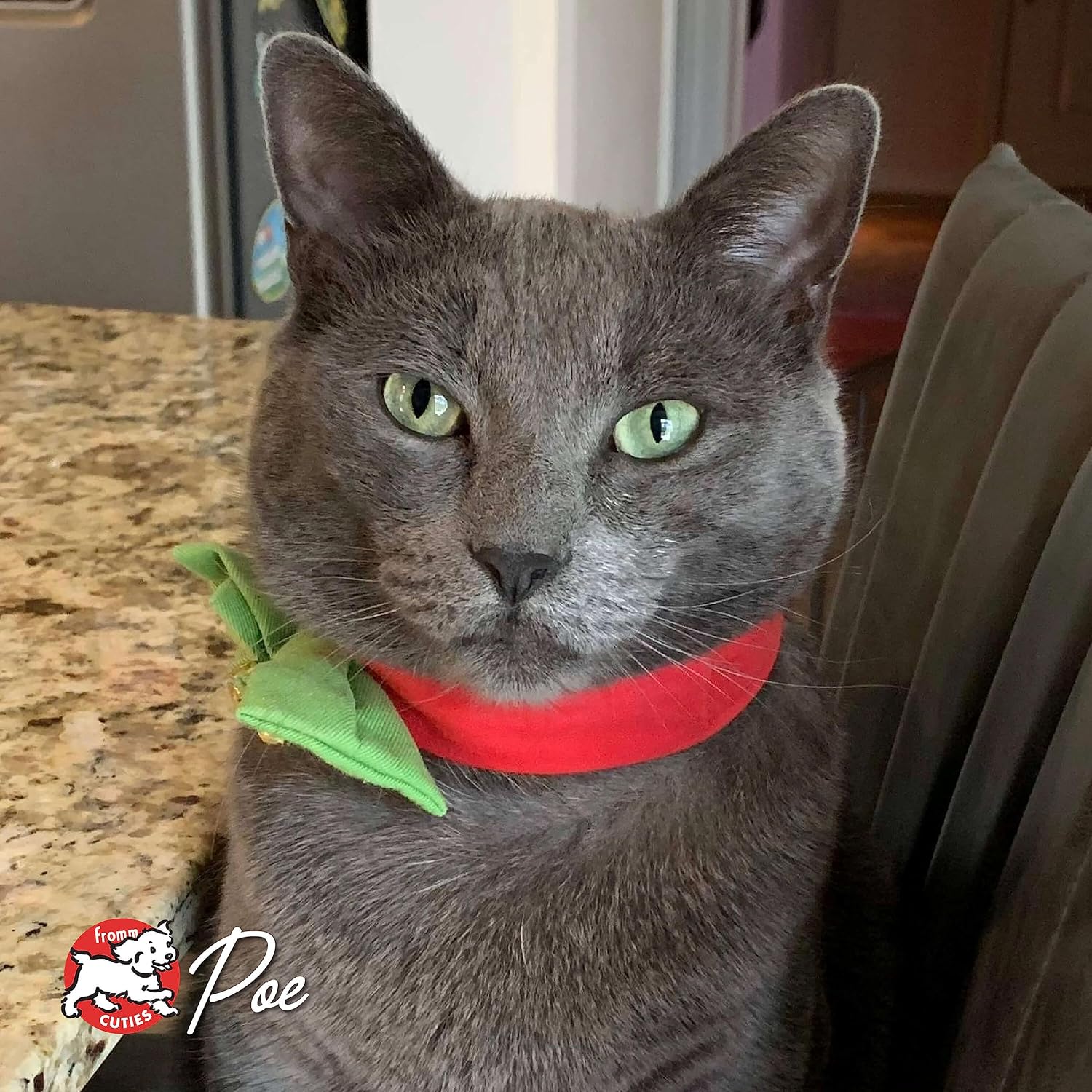 Nutritionals Trout & Whitefish Cat Food - Premium Dry Cat Food - Trout Recipe - 4 lb