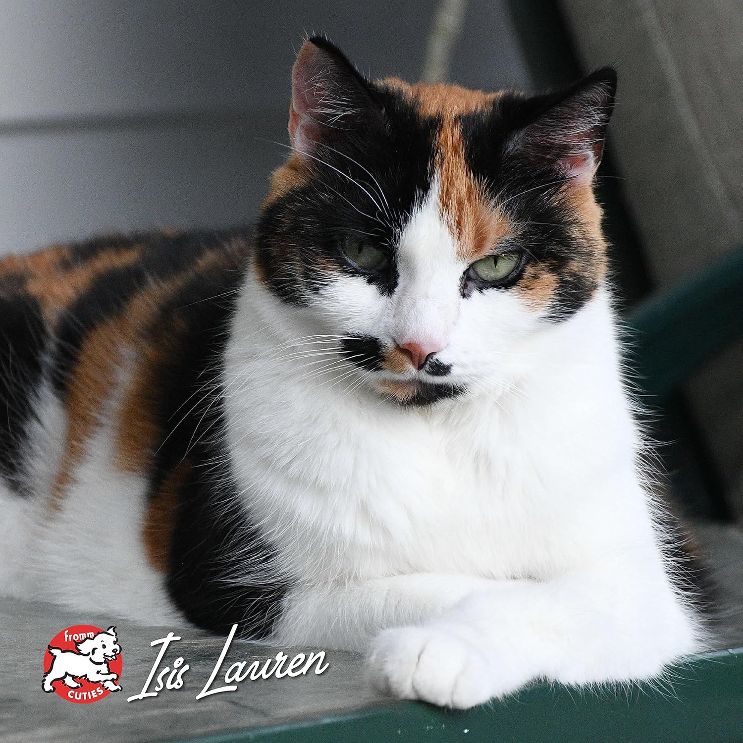 Nutritionals Chicken A La Veg Cat Food - Premium Dry Cat Food - Chicken Recipe - 4 lb