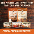 CORE RawRev Original Deboned Turkey, Meal & Chicken Meal Recipe, Dry Cat Food, 10 Pound Bag
