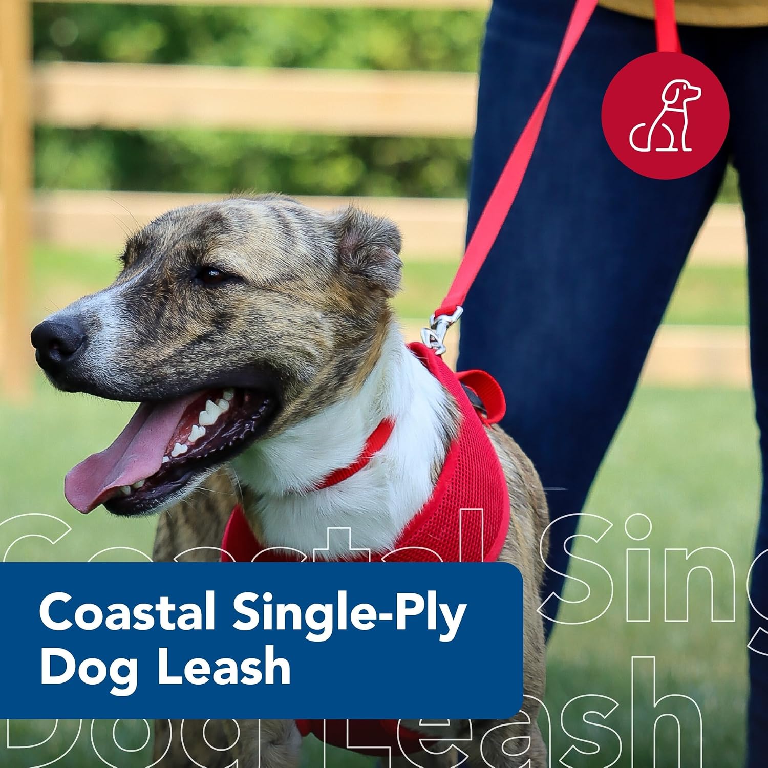 Pet Single-Ply Dog Leash - Sturdy Pet Leash - Comfortable & Stylish - Resists Fraying - Vibrant & Fade-Resistant Color - Neon Pink