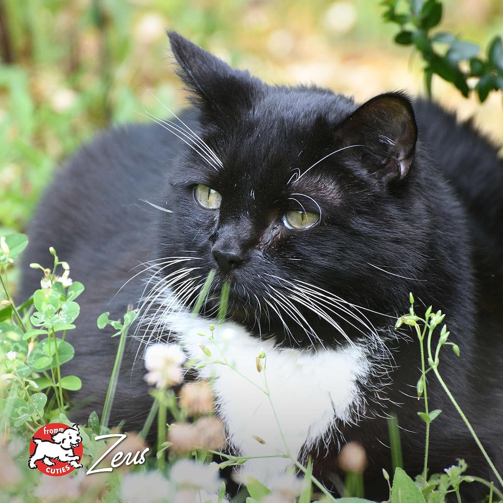 Nutritionals Beef Livattini Veg Cat Food - Premium Dry Cat Food - Beef Recipe - 4 lb