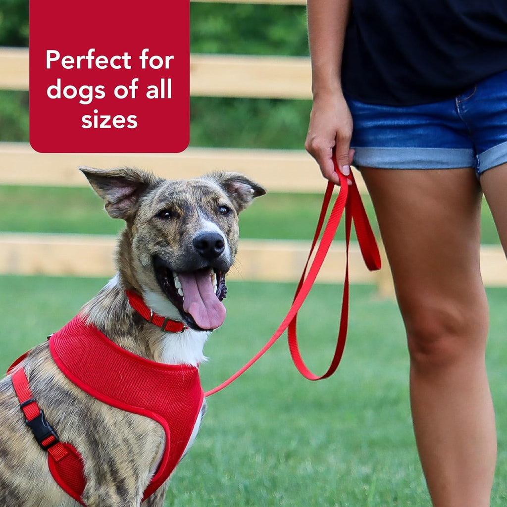 Pet Single-Ply Dog Leash - Sturdy Pet Leash - Comfortable & Stylish - Resists Fraying - Vibrant & Fade-Resistant Color - Neon Pink