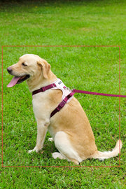 Dog Harness Leash and Collar Set, Soft Adjustable Dogs Vest Reflective and Comfortable Handle Pink Small