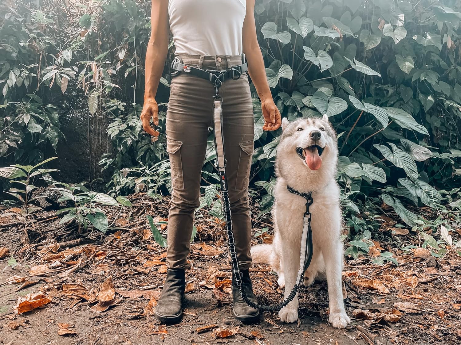 Heavy Duty Hands Free Dog Leash | One Large Dog Up to 125 lbs | Comfortable Shock Absorbing Bungee | Reflective Padded Handles | Lumbar Waist Belt 26-38" | Walking Jogging Running Leash