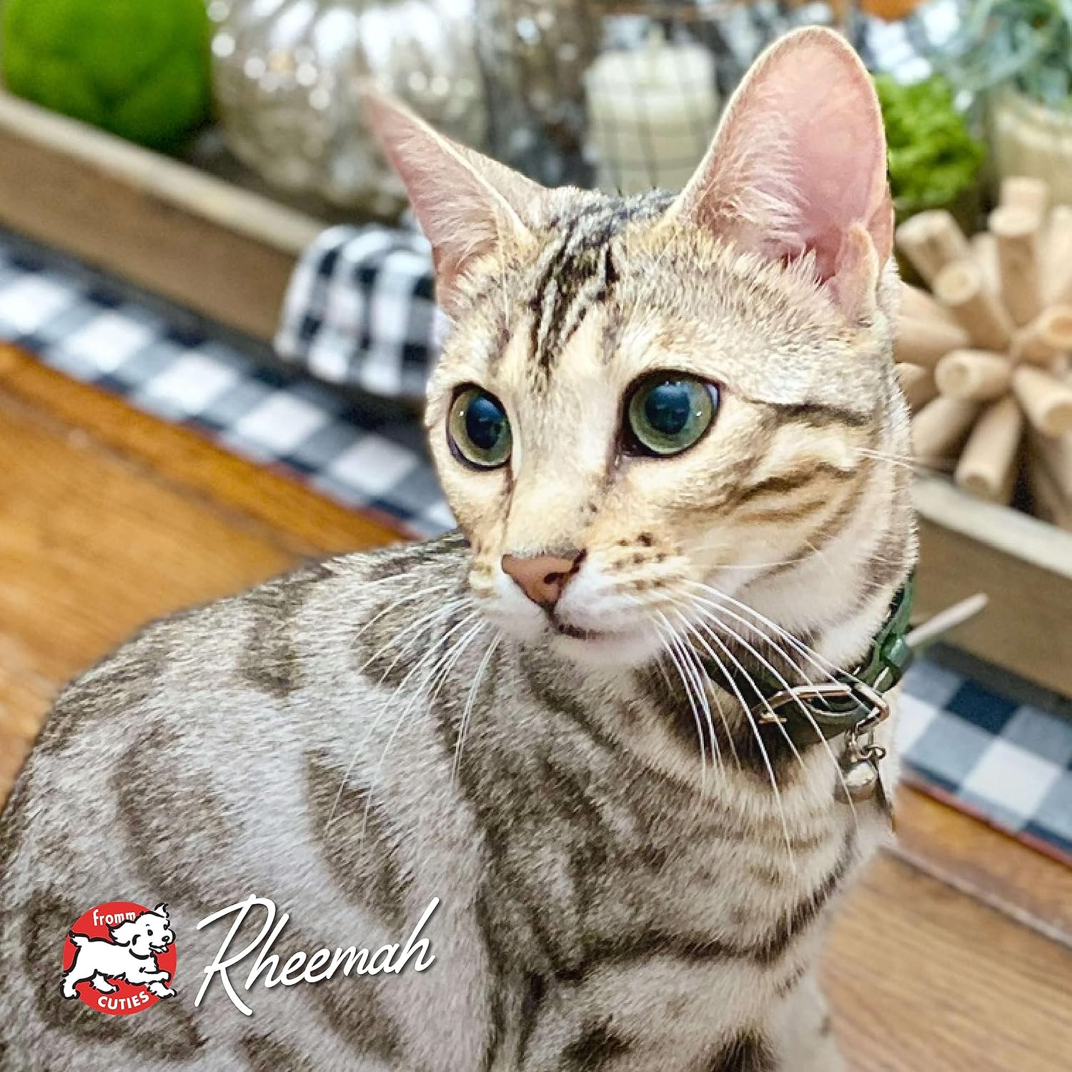 Nutritionals Hasen Duckenpfeffer Cat Food - Premium Dry Cat Food - Rabbit Recipe - 4 lb