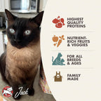 Nutritionals Surf & Turf Cat Food - Premium Dry Cat Food - Salmon Recipe - 4 lb