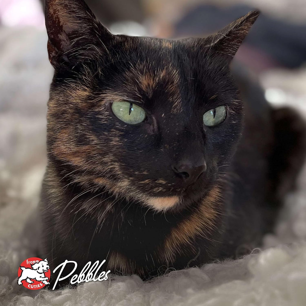 Nutritionals Chicken A La Veg Cat Food - Premium Dry Cat Food - Chicken Recipe - 4 lb