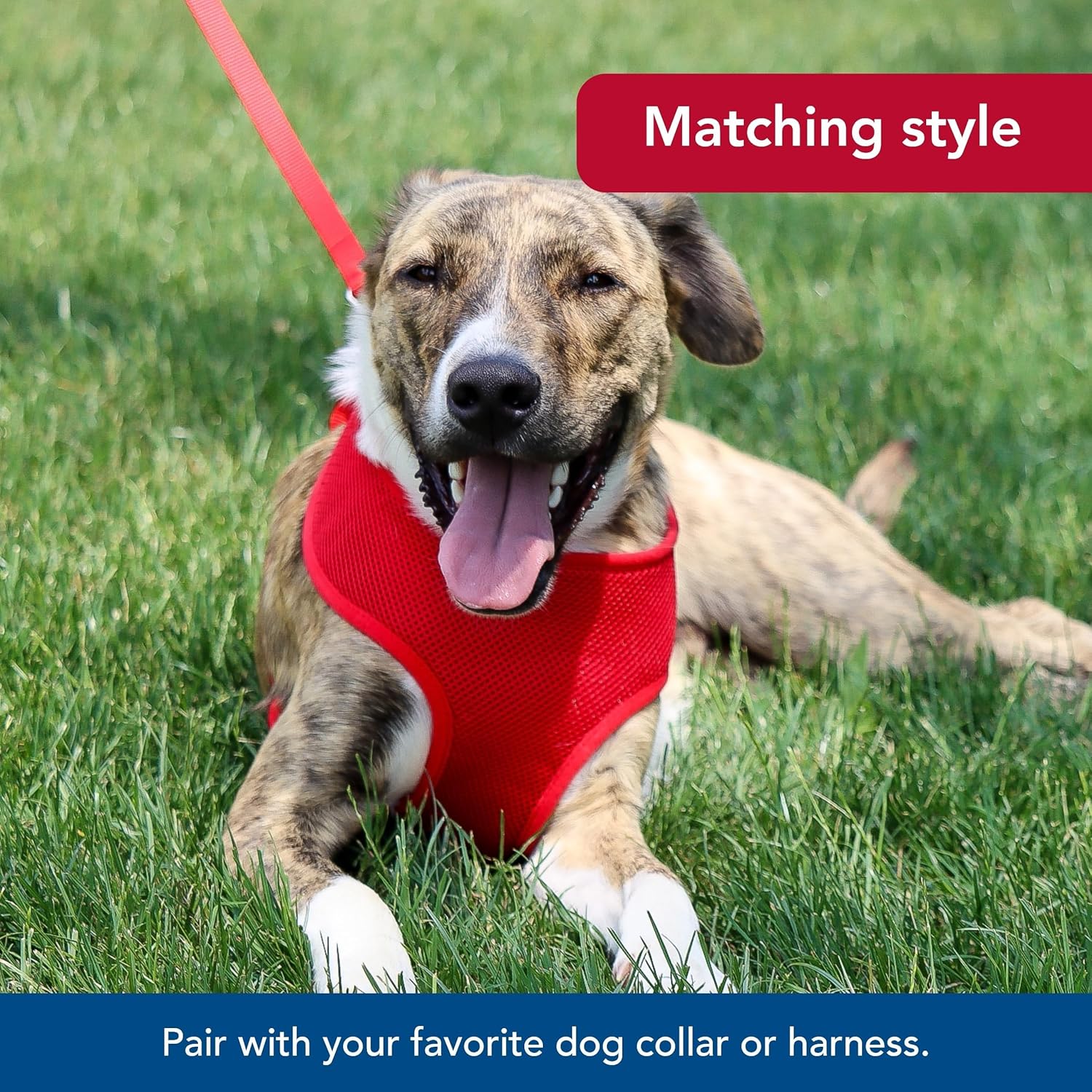 Pet Single-Ply Dog Leash - Sturdy Pet Leash - Comfortable & Stylish - Resists Fraying - Vibrant & Fade-Resistant Color - Neon Pink