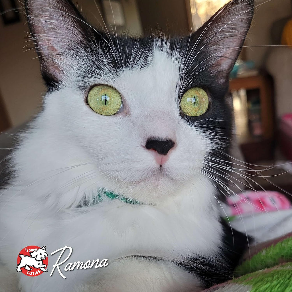 Nutritionals Salmon A La Veg Cat Food - Premium Dry Cat Food - Salmon Recipe - 4 lb