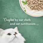 Wet Cat Food Medleys Turkey Florentine With Spinach in a Light Cat Food Broth - (Pack of 24) 3 oz. Cans
