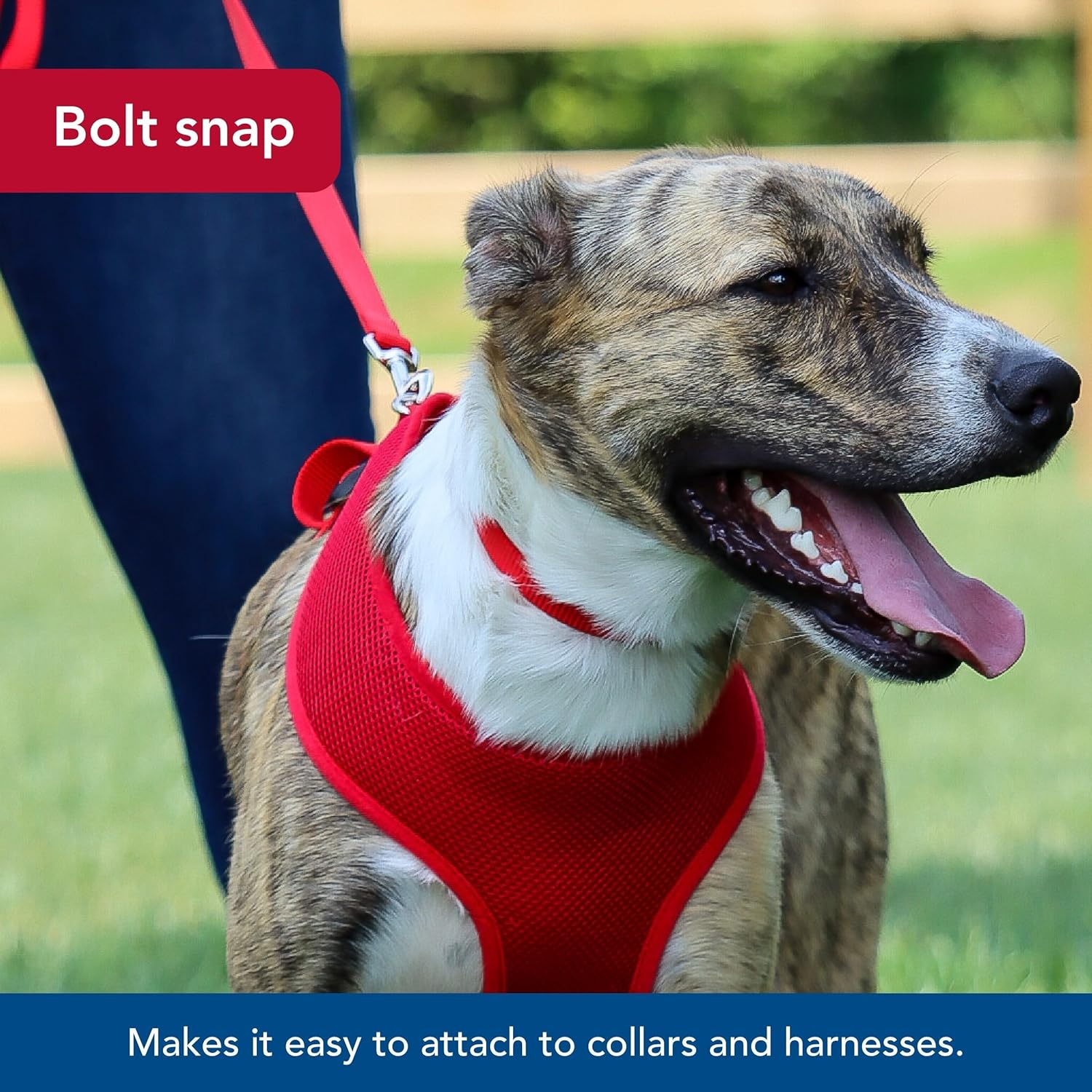 Pet Single-Ply Dog Leash - Sturdy Pet Leash - Comfortable & Stylish - Resists Fraying - Vibrant & Fade-Resistant Color - Neon Pink