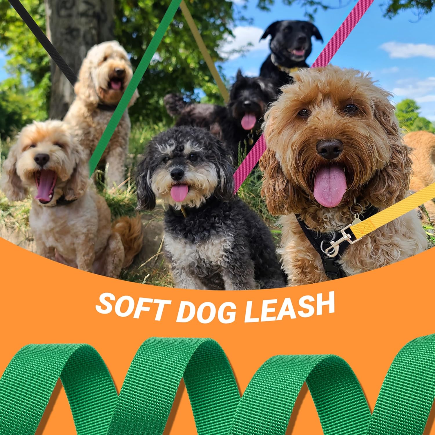 12 Pcs Dog Leashes for Small Medium Large Dogs, 6FT Lead Short Dog Leash with Swivel Hook for Walking, Training, Hiking, Rescues, Grooming, Shelter, Outdoor