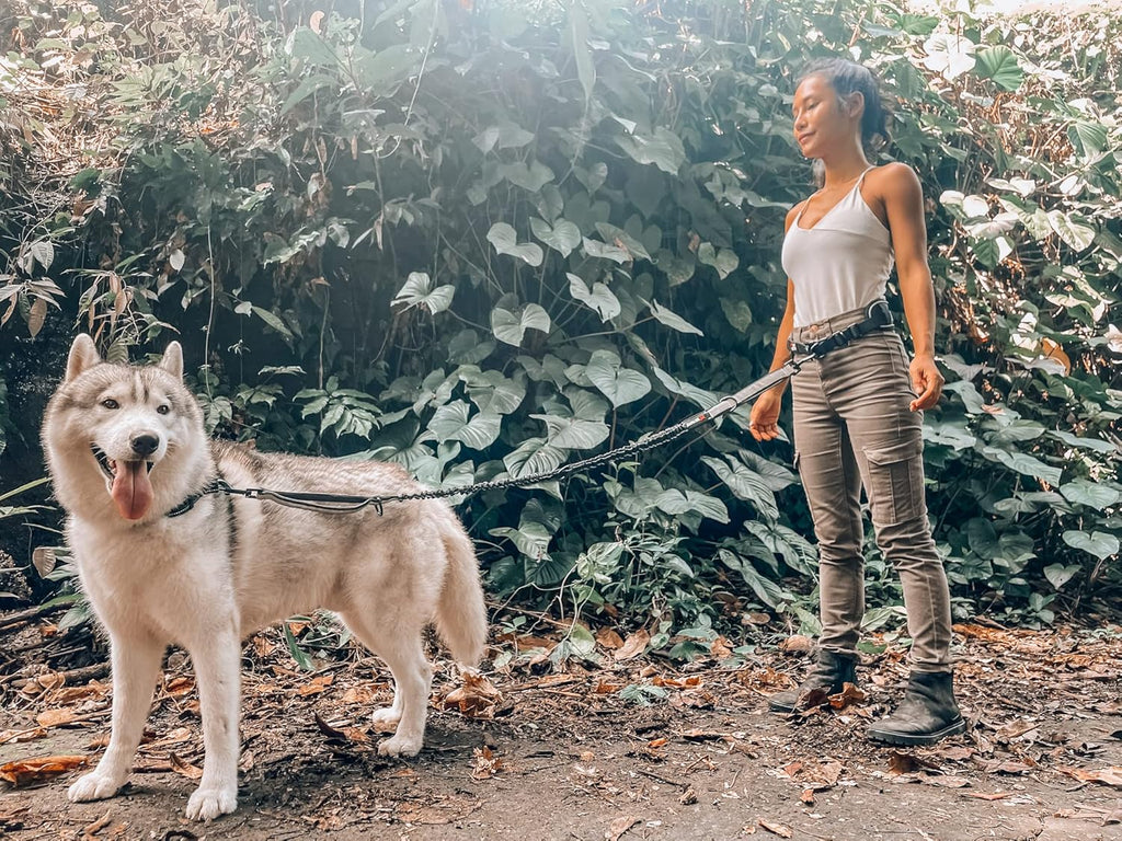 Heavy Duty Hands Free Dog Leash | One Large Dog Up to 125 lbs | Comfortable Shock Absorbing Bungee | Reflective Padded Handles | Lumbar Waist Belt 26-38" | Walking Jogging Running Leash