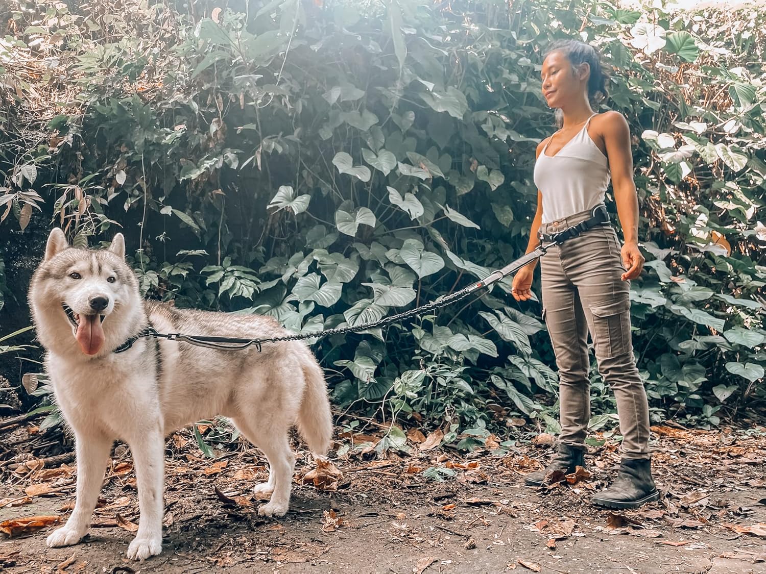 Heavy Duty Hands Free Dog Leash | One Large Dog Up to 125 lbs | Comfortable Shock Absorbing Bungee | Reflective Padded Handles | Lumbar Waist Belt 26-38" | Walking Jogging Running Leash