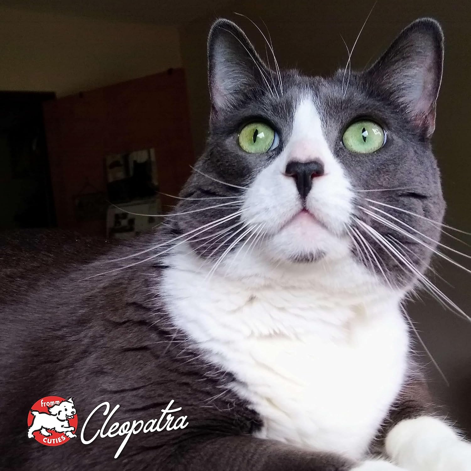 Nutritionals Grain-Free Game Bird Dry Cat Food (4 lb)