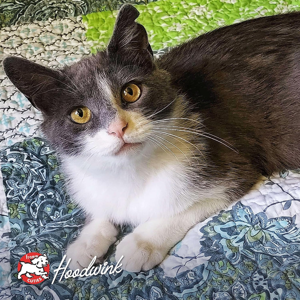 Nutritionals Salmon Tunachovy Cat food - Premium Dry Cat Food - Salmon Recipe - 4 lb