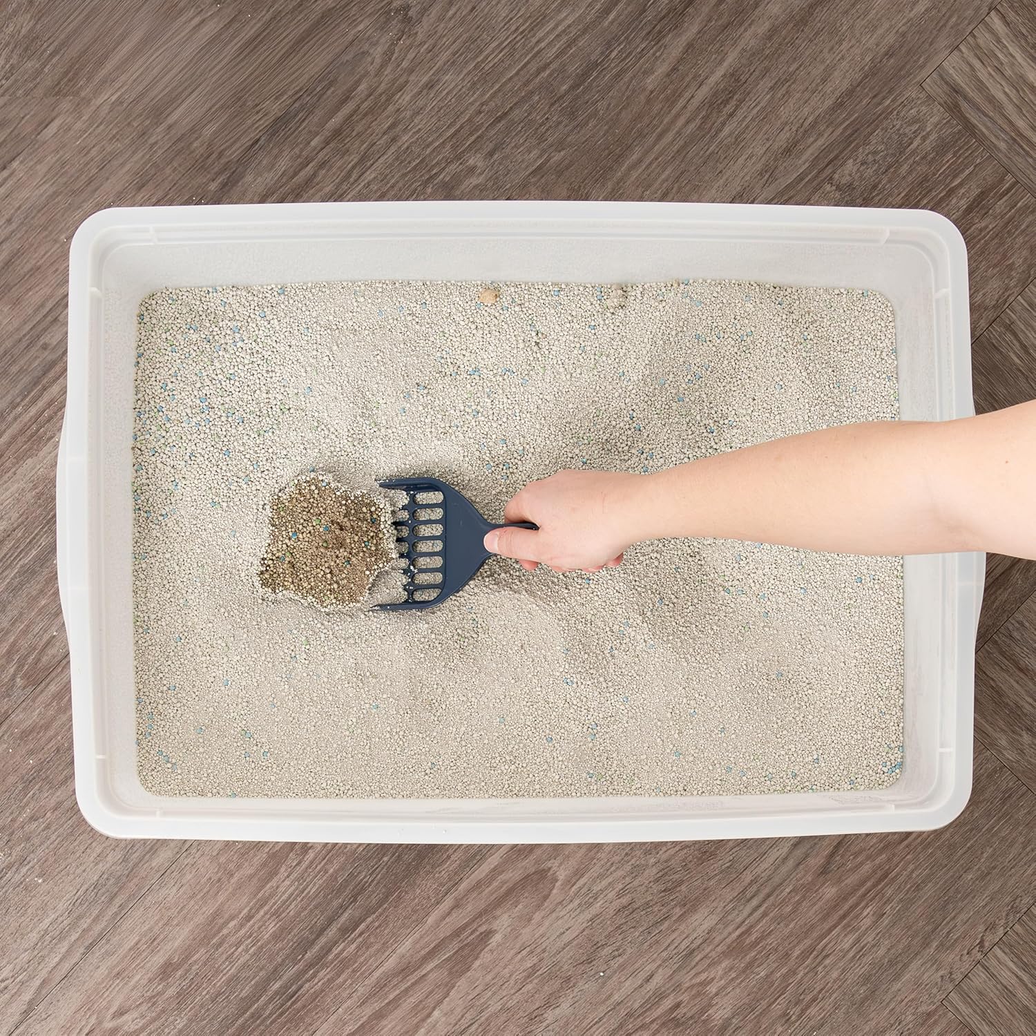 Large Open Top Cat Litter Box, Kitty Litter Pan, Pearl