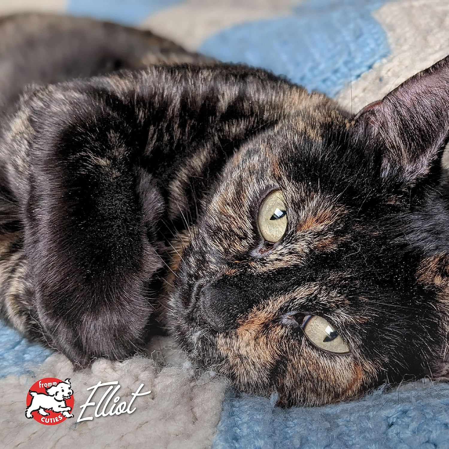 Nutritionals Duck A La Veg Cat Food - Premium Dry Cat Food - Duck Recipe - 4 lb